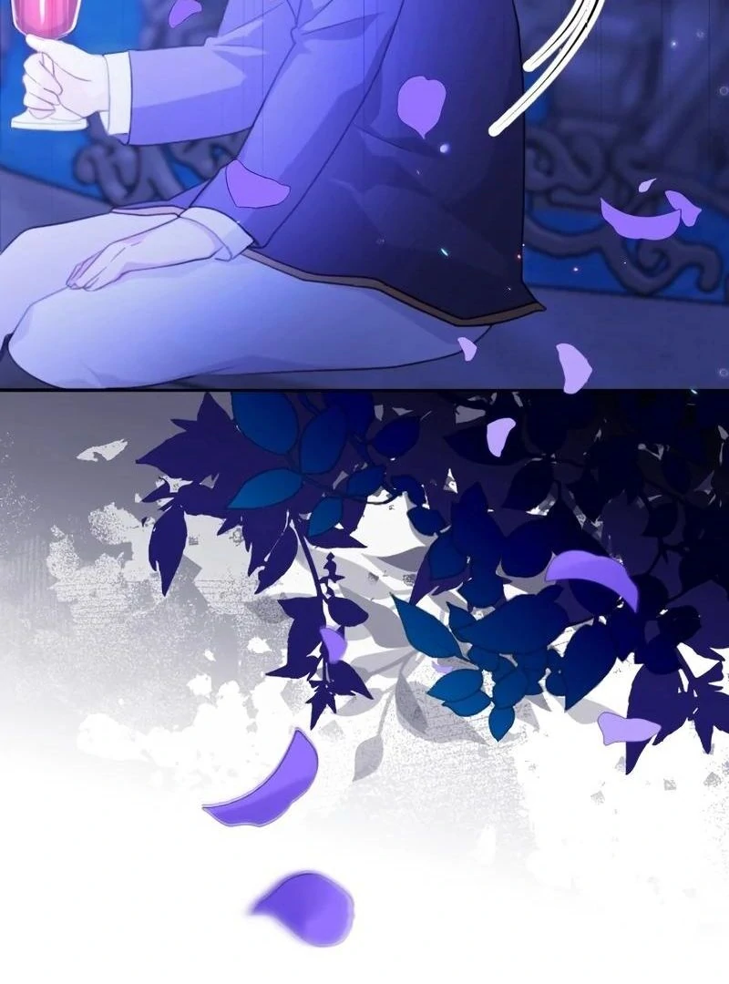 69567326 800 1080 86624